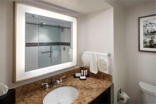 Hotel Embassy Suites Tysons Corner