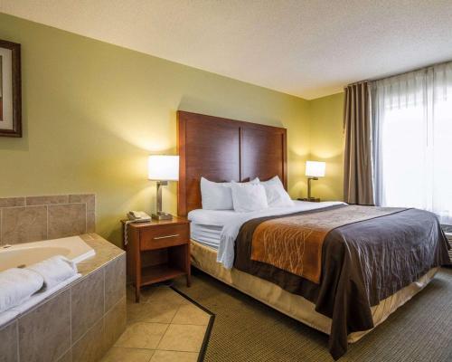 Hotel Comfort Inn & Suites Black River Falls I-94