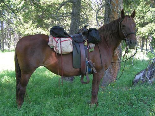 Bedroll And Breakfast ?