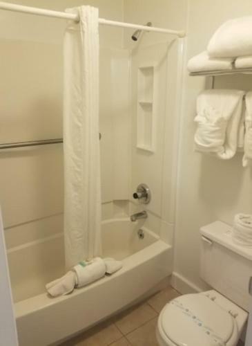 Hotel Cody Legacy Inn & Suites