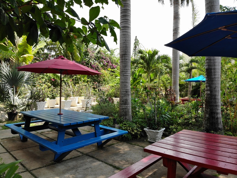 Hotel Negril Palms