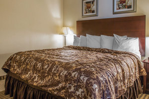 Hotel Rodeway Inn & Suites
