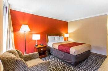 Hotel Econo Lodge Near Fort Stewart