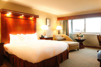 Hotel Hilton Boston/woburn
