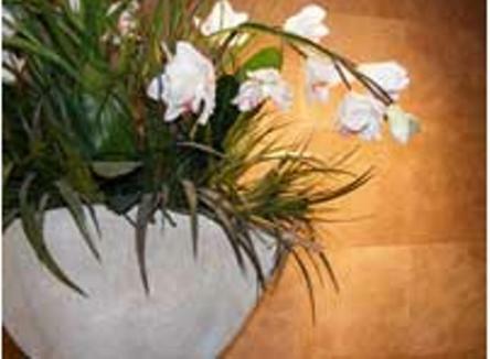 Terra Vive Luxury Suites & Apartments