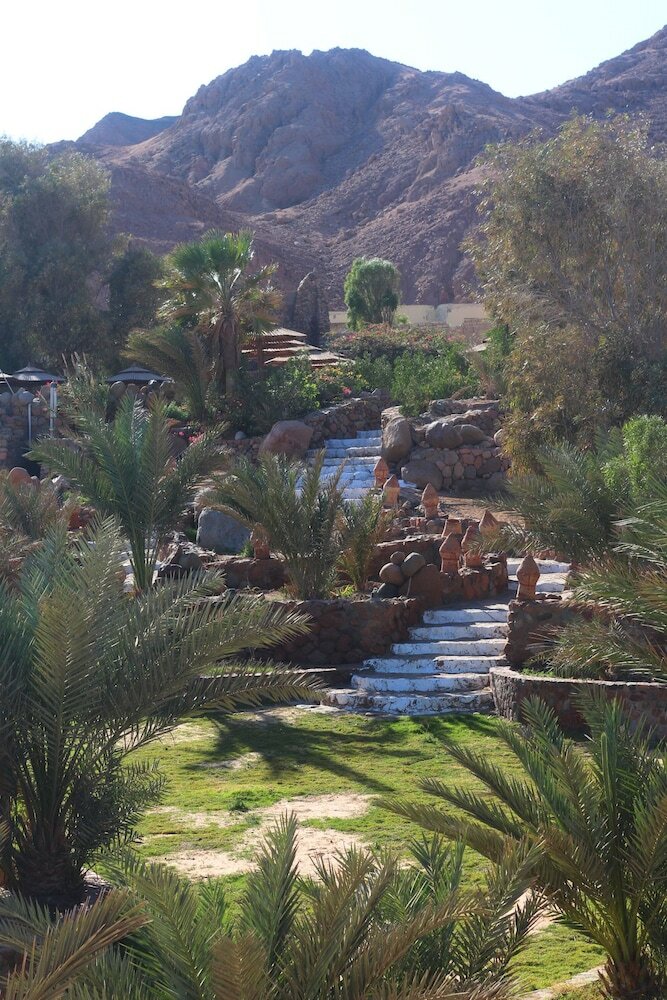 Bedouin Moon Hotel