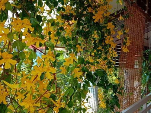 Bed & Breakfast Lampang Lanna Home