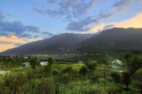 Hotel Honeymoon Inn Manali