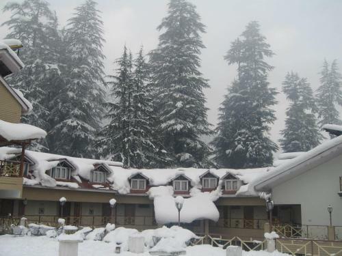 Hotel Snow Valley Resorts Manali