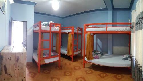 Albergue Tiny Tigers