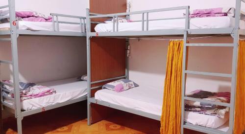 Albergue Tiny Tigers