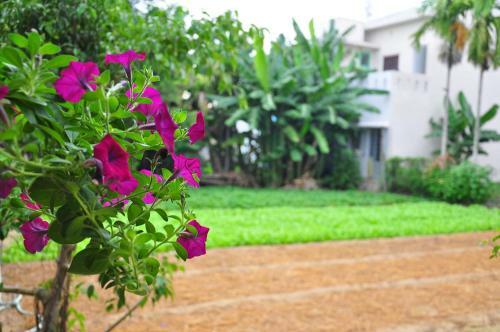 Petunia Garden Homestay And Hostel