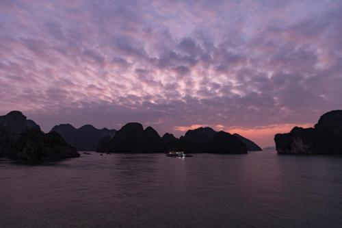 Halong Paloma Cruise