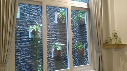 Green Coco Homestay
