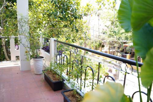 Hotel Longan Homestay