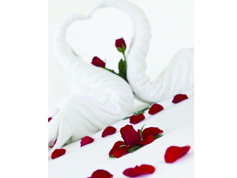 Cherish Hue Hotel