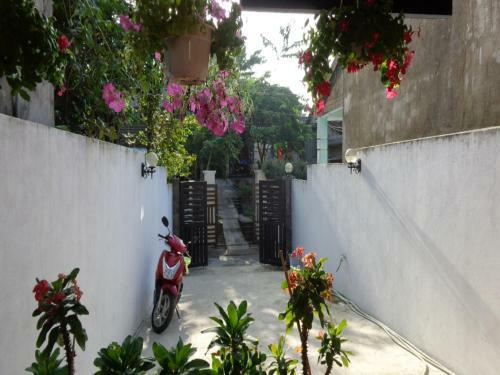 Banana Homestay Hoi An