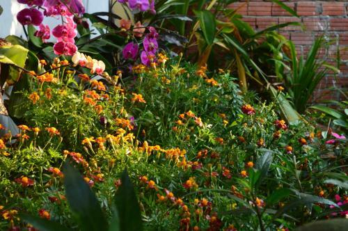 The Hoi An Orchid Garden Villas