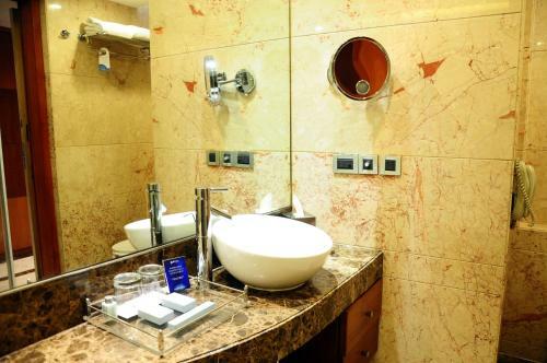 Hotel Radisson Blu Plaza Delhi