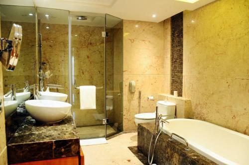 Hotel Radisson Blu Plaza Delhi