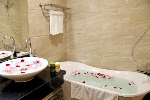 Apus Hotel