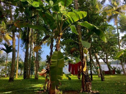 Hostal Ashtamudi Villas