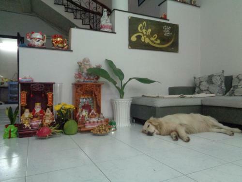 Yang Homestay 2-juice Garden House