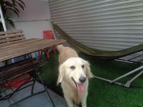 Yang Homestay 2-juice Garden House