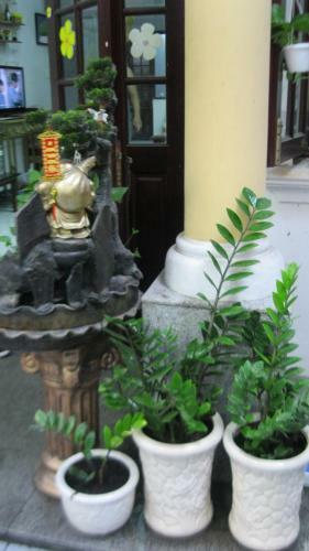 Yang Homestay 2-juice Garden House