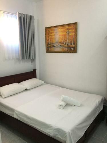 Hostal Vy Khanh Guesthouse