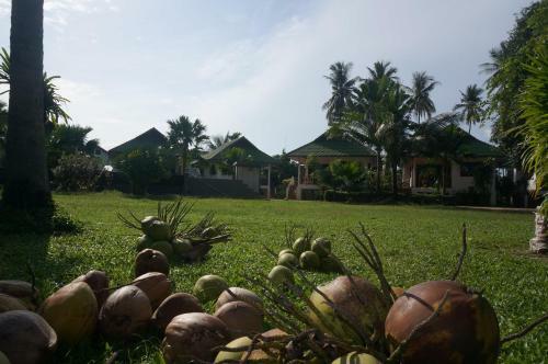 Hotel Baannoksuan Resort