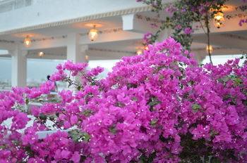 Hotel Poonam Haveli