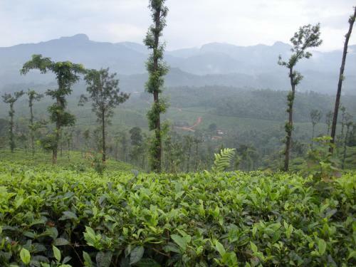Annapara Home Stay