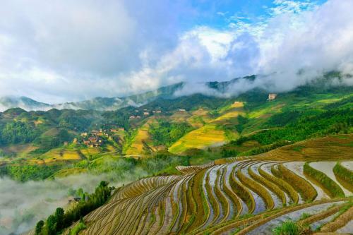 Posada Longji Rice Terraces Tian Ranju Inn