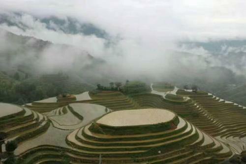Agroturismo Jinkeng Inn
