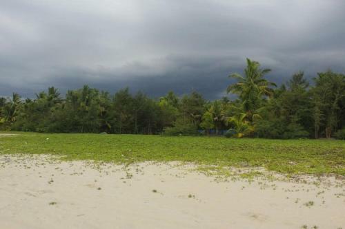 Bed & Breakfast Marari Nest Beach Homestay