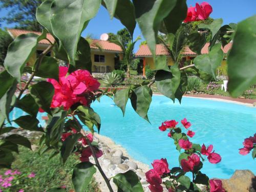 Bed & Breakfast Residence Las Lajas