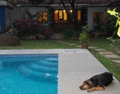 Agroturismo The Secret Garden Goa