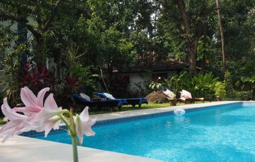 Agroturismo The Secret Garden Goa
