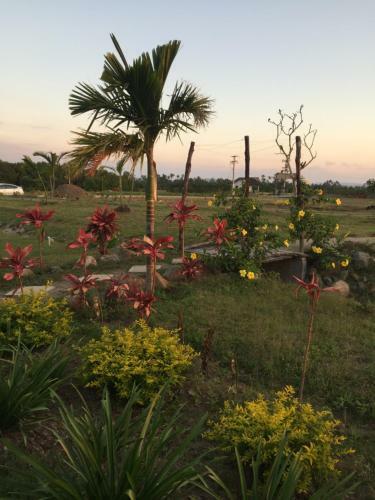 Hotel Bayview Cove Health Resort