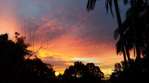 Hostal Sunshine Coast Tropical Getaway