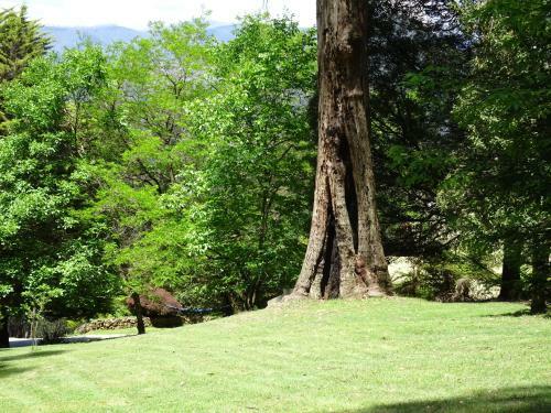 Lodge Eagles Nest Luxury Mountain Retreat