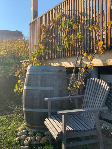Kellerst�ckl Weinblick