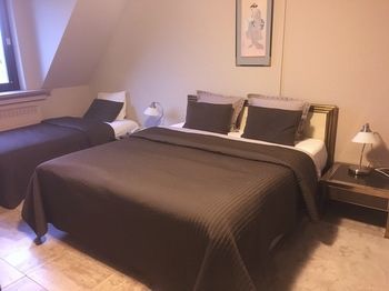 Hotel The New Fox