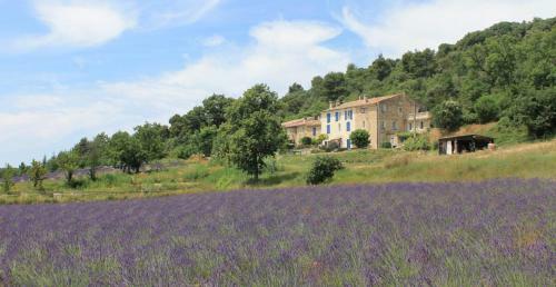 Bed & Breakfast Domaine De Bertrandy