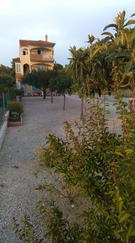 Apartment Alena 1 I 2