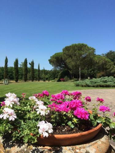 Apartamento Podere Il Giurato