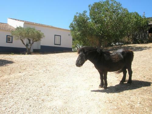Agroturismo Quinta Das Estrelas