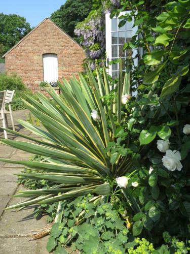 Bed & Breakfast Rock Farm