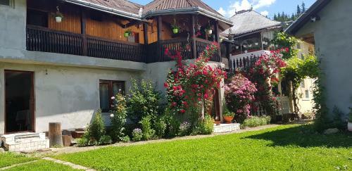 Hostal Casa Lucian